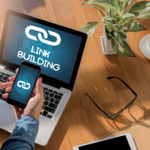 SEO link building expert